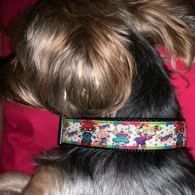 Snoopy Halloween Dog Bandana Over the Collar dog bandana Dog collar bandana Petcollarshandmade